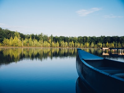 白天，灰色独木舟在高大树木附近平静的水面上划过